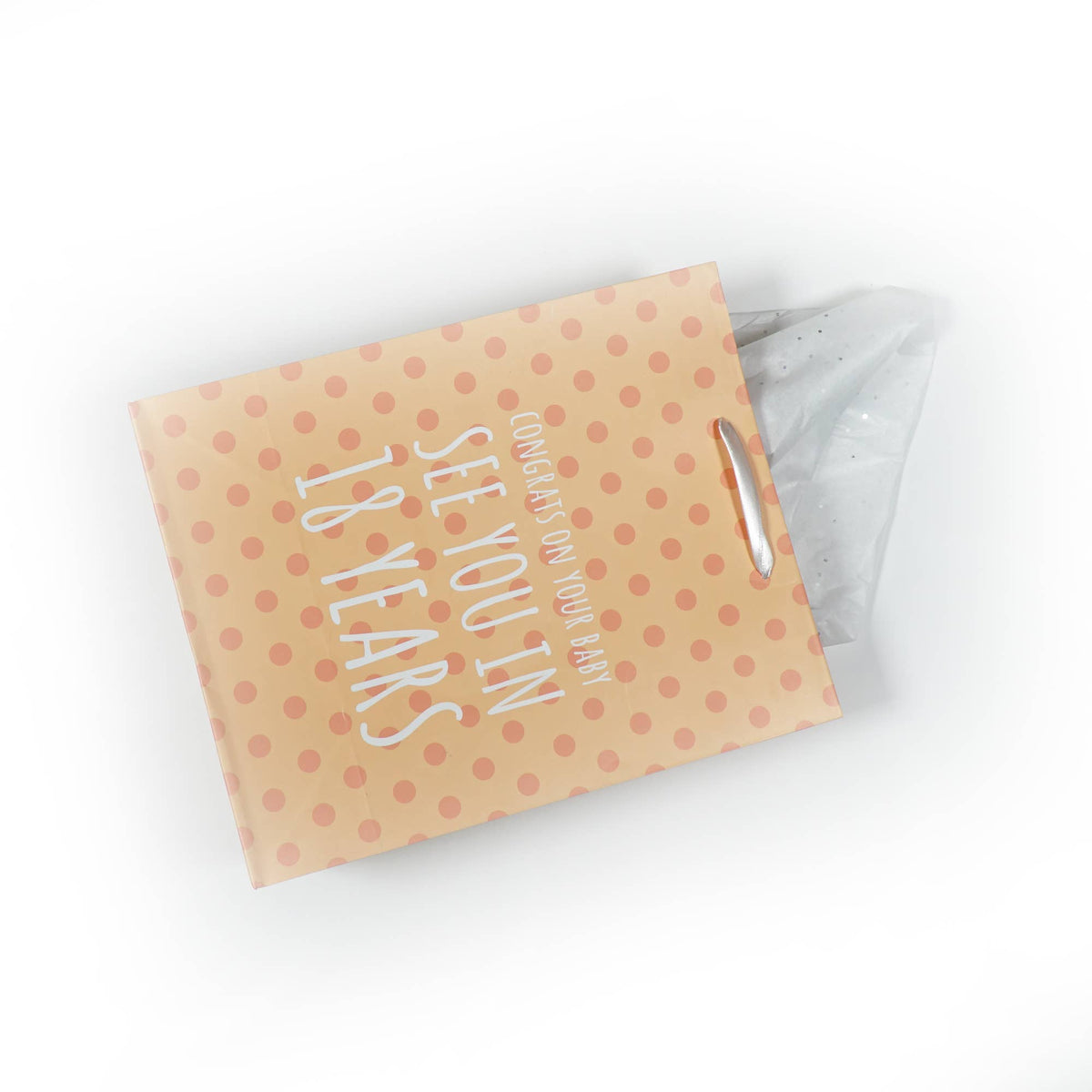 Funny Baby "See you in 18 Years" Gift Bag