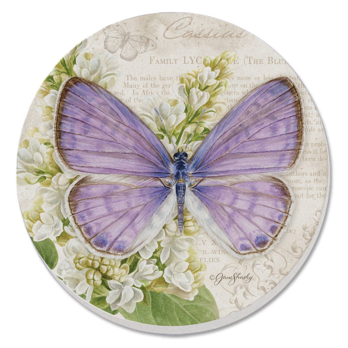 Coaster Cassius Blue Beautiful Butterflies Round Stone - Fresh Start Candles