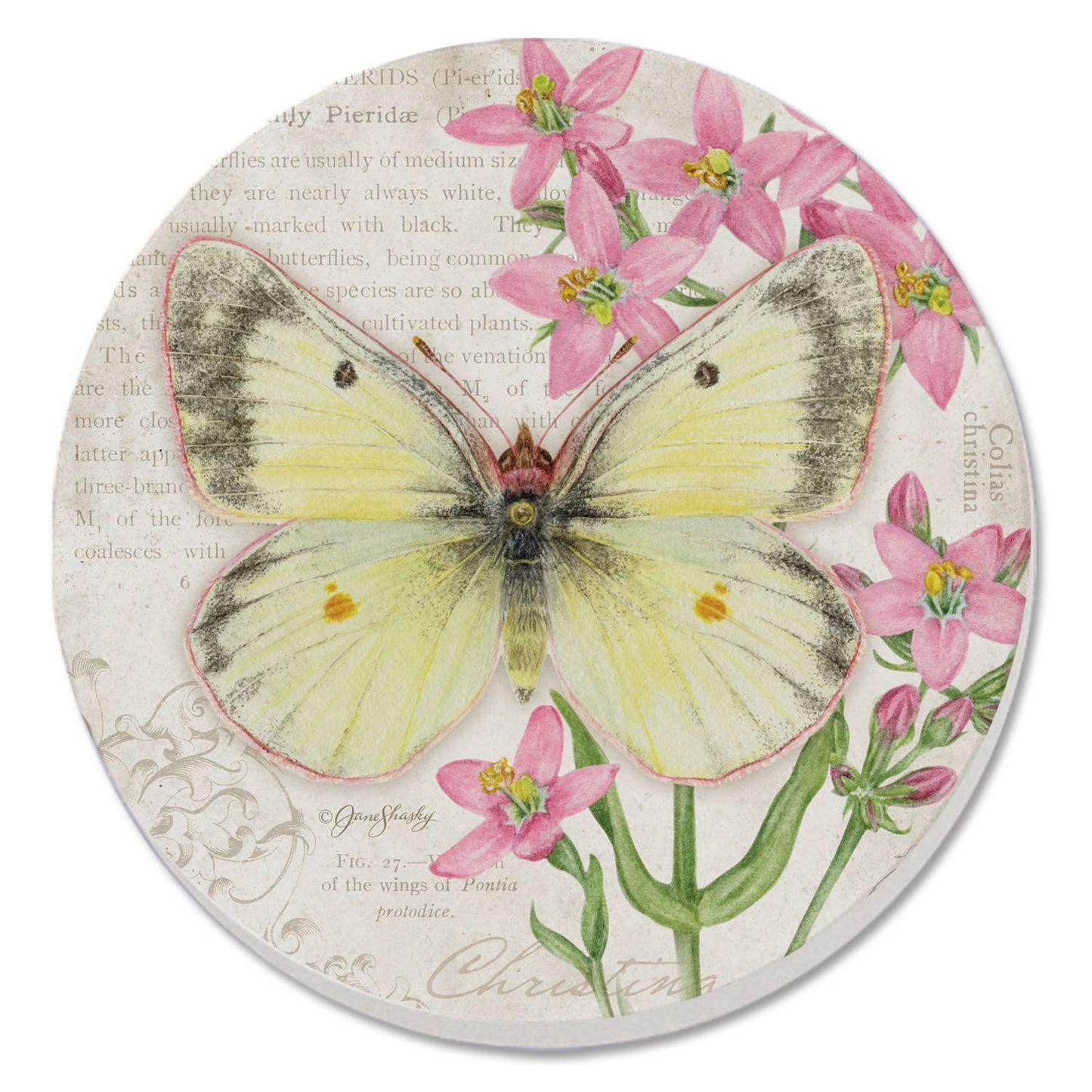 Coaster Cassius Blue Beautiful Butterflies Round Stone - Fresh Start Candles