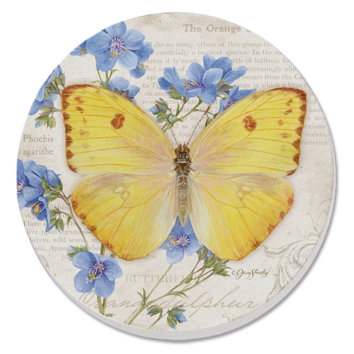 Coaster Cassius Blue Beautiful Butterflies Round Stone - Fresh Start Candles