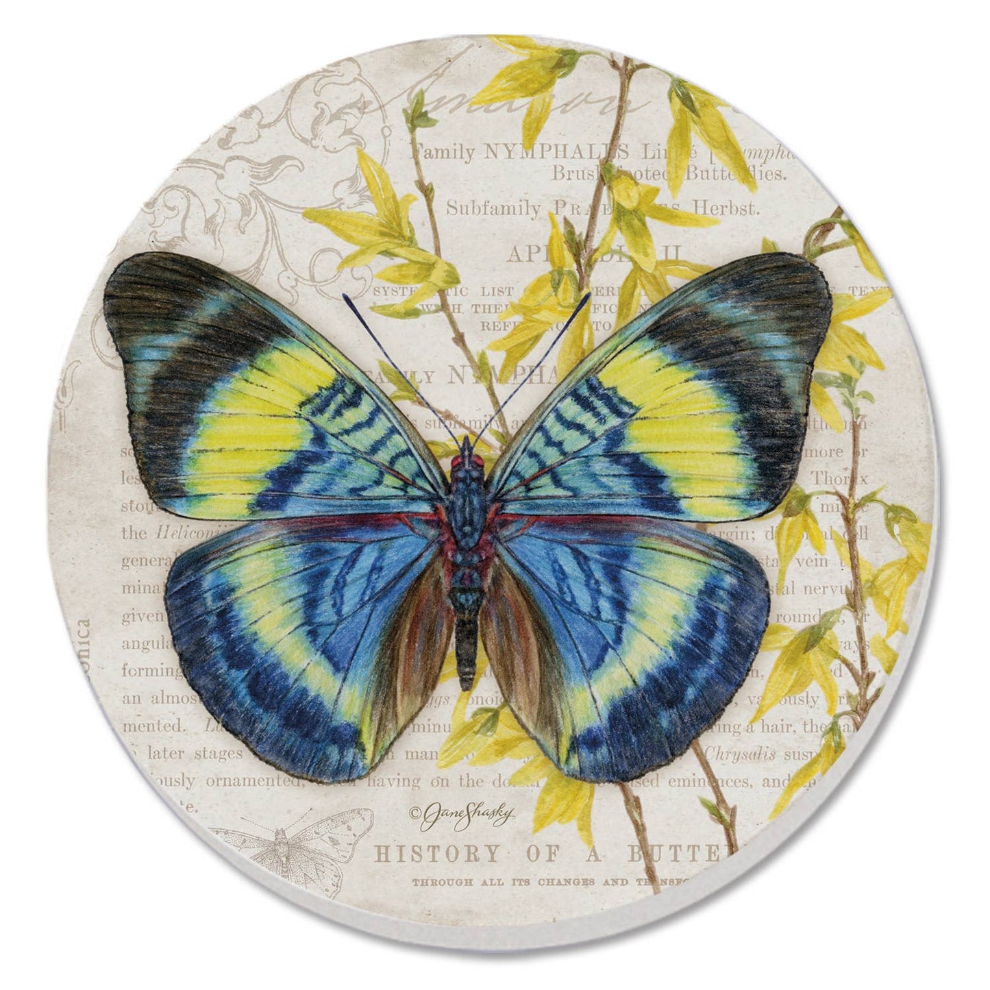 Coaster Cassius Blue Beautiful Butterflies Round Stone - Fresh Start Candles