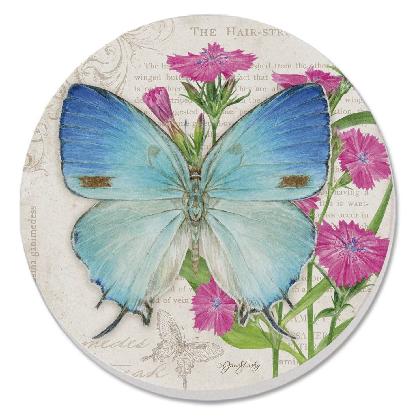 Coaster Cassius Blue Beautiful Butterflies Round Stone - Fresh Start Candles
