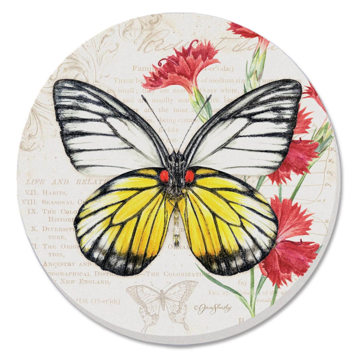 Coaster Cassius Blue Beautiful Butterflies Round Stone - Fresh Start Candles