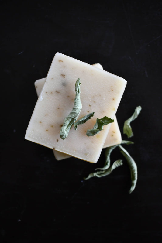 Olive Oil Soap Lemon Verbena - Fresh Start Candles