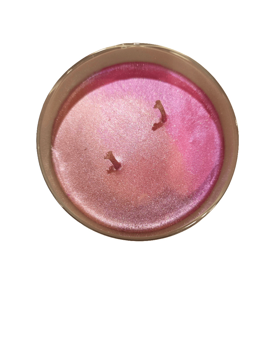 Strawberry Jam 8oz - Fresh Start Candles