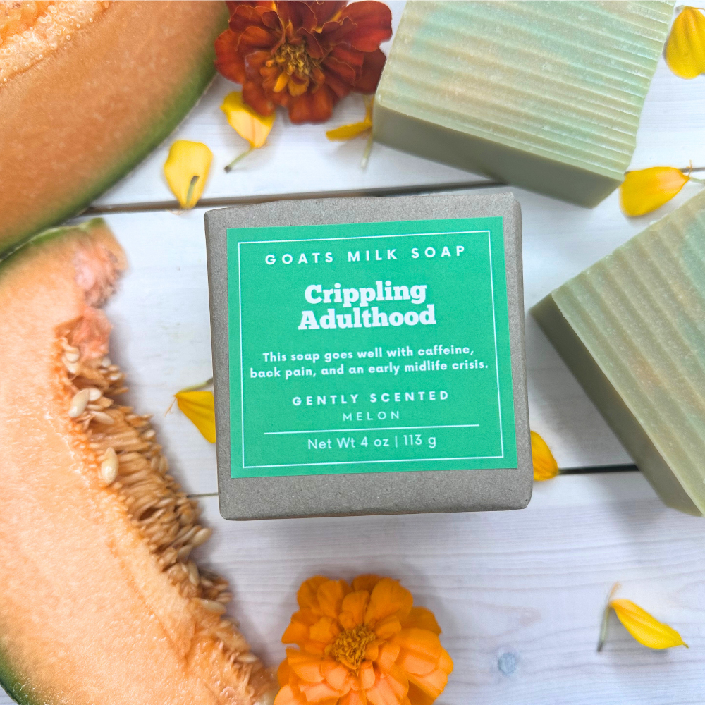Melon Soap | Goat Milk Soap | Funny Soap | 4 oz Soap | Gift