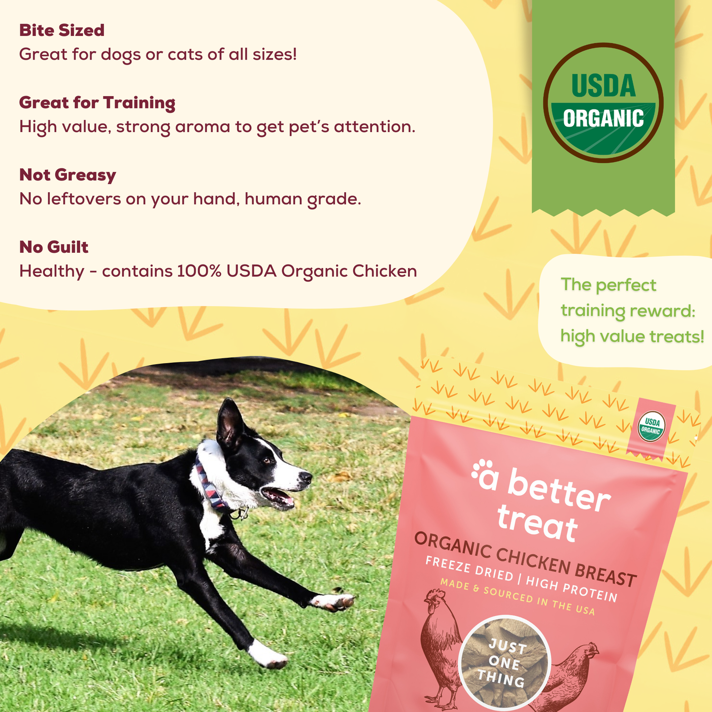 Organic Freeze Dried Chicken Breast Dog and Cat Treats