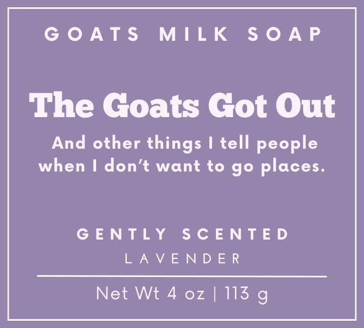 Lavender Soap | Funny Soap | 4 oz Goat Milk Soap | Bar Soap