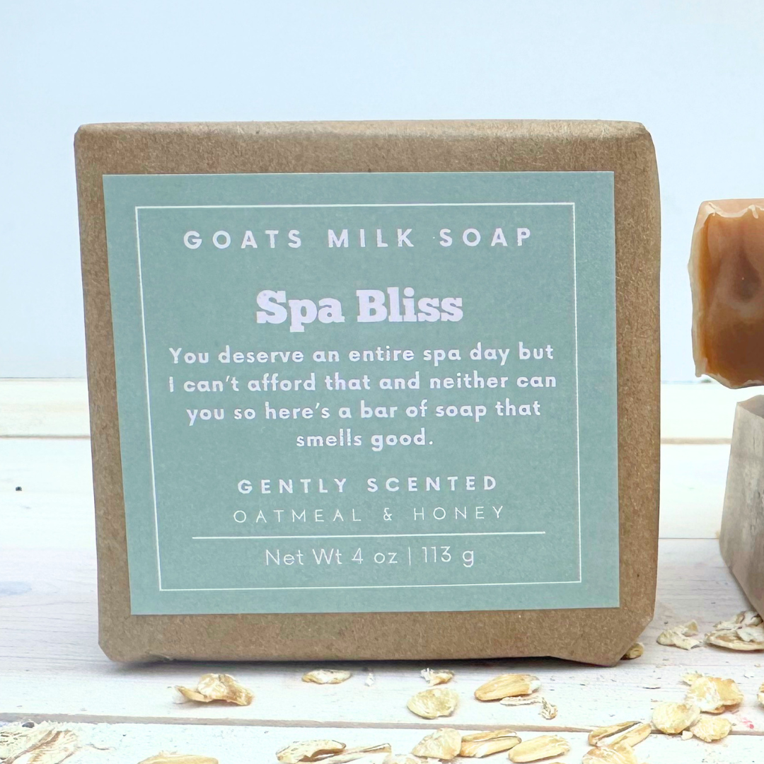 Oatmeal Honey Soap | Funny Soap | 4 oz Goat Milk Soap | Gift