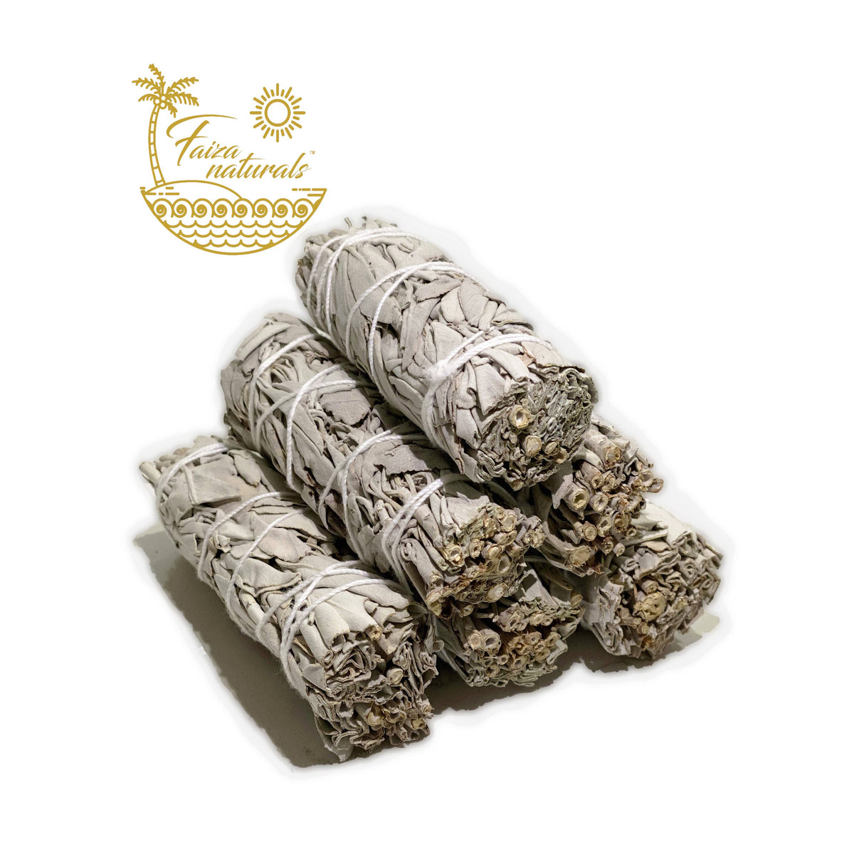 Sage 4 inch- California White Sage Farm