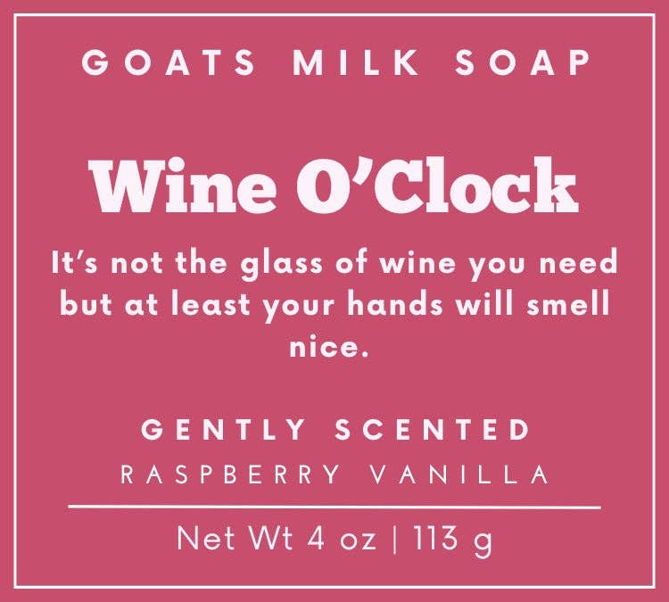 Raspberry Vanilla Soap | Funny Soap | 4 oz Goat Milk | Gift