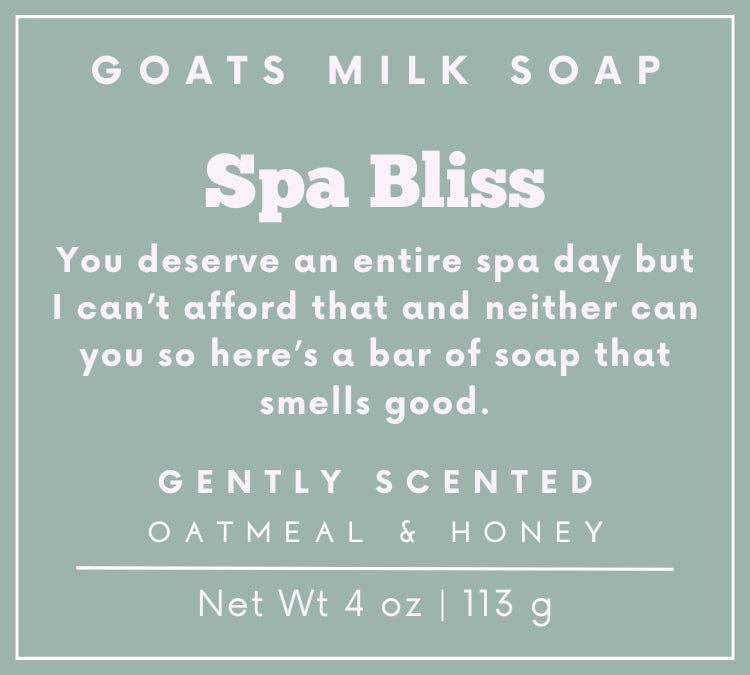 Oatmeal Honey Soap | Funny Soap | 4 oz Goat Milk Soap | Gift