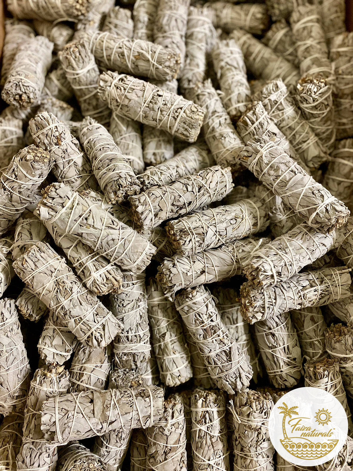 Sage 4 inch- California White Sage Farm