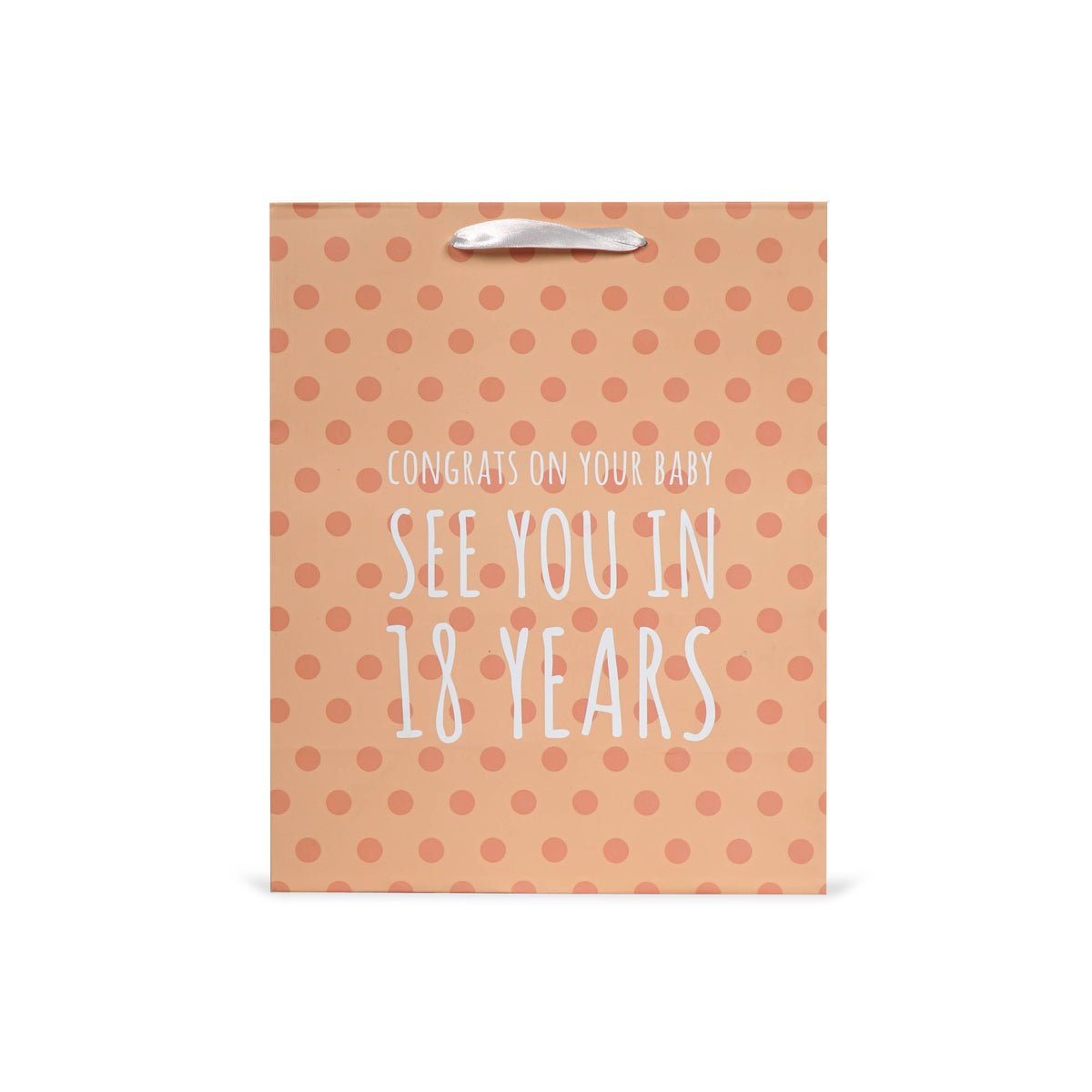 Funny Baby "See you in 18 Years" Gift Bag