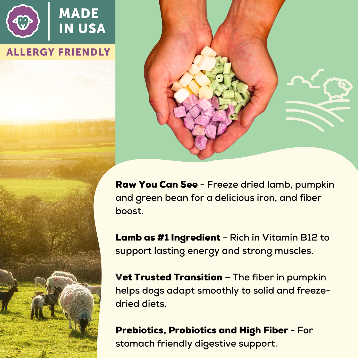 A Better Dog Food - Allergy Friendly Lamb | No Chicken, Only Lamb Animal Protein, No Meal Ingredients, Grain Free | Raw You Can See