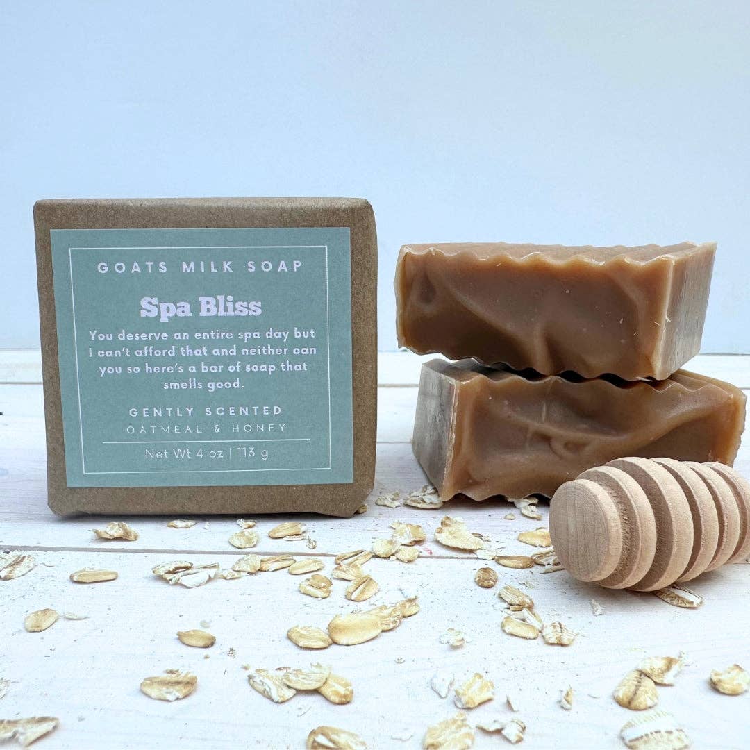 Oatmeal Honey Soap | Funny Soap | 4 oz Goat Milk Soap | Gift