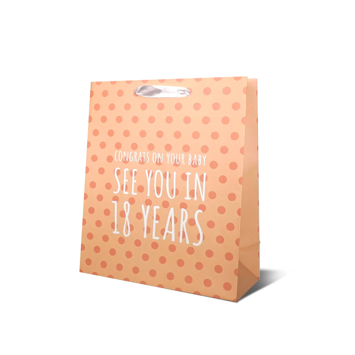 Funny Baby "See you in 18 Years" Gift Bag