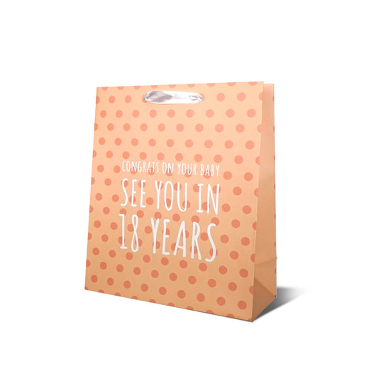 Funny Baby "See you in 18 Years" Gift Bag