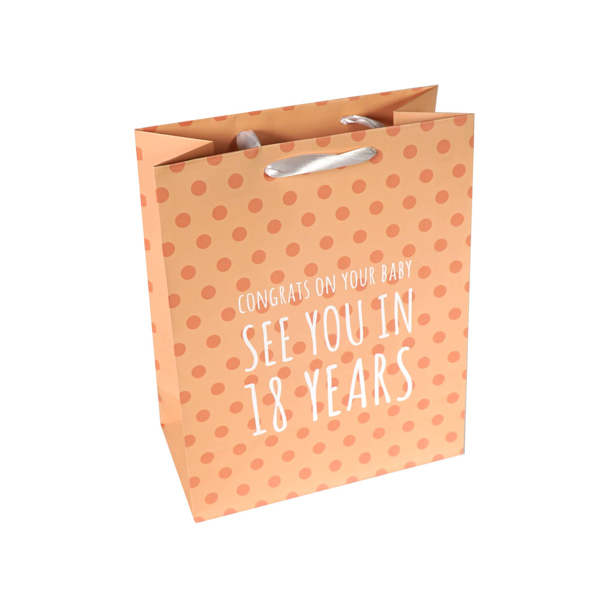 Funny Baby "See you in 18 Years" Gift Bag