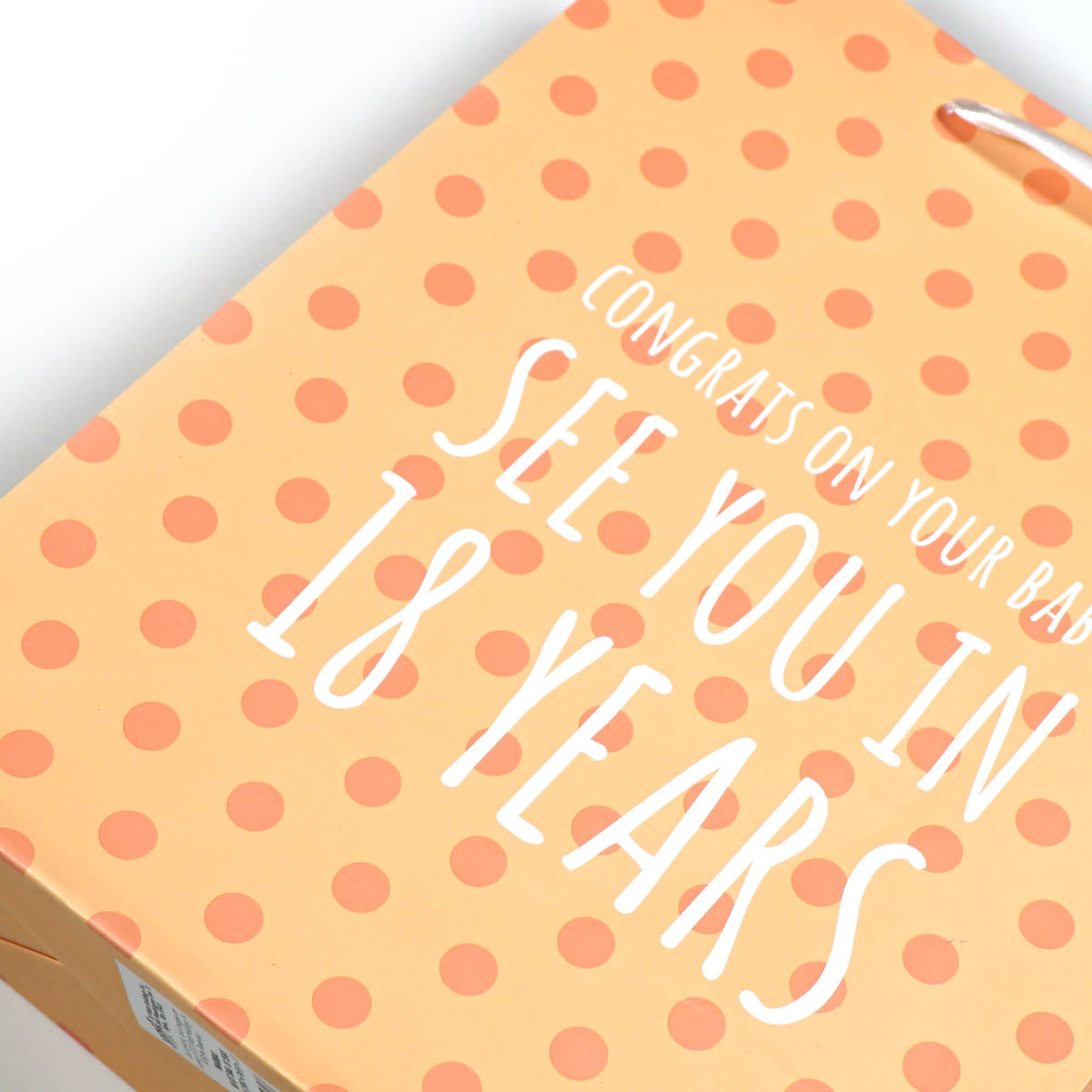Funny Baby "See you in 18 Years" Gift Bag