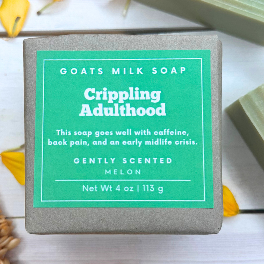Melon Soap | Goat Milk Soap | Funny Soap | 4 oz Soap | Gift