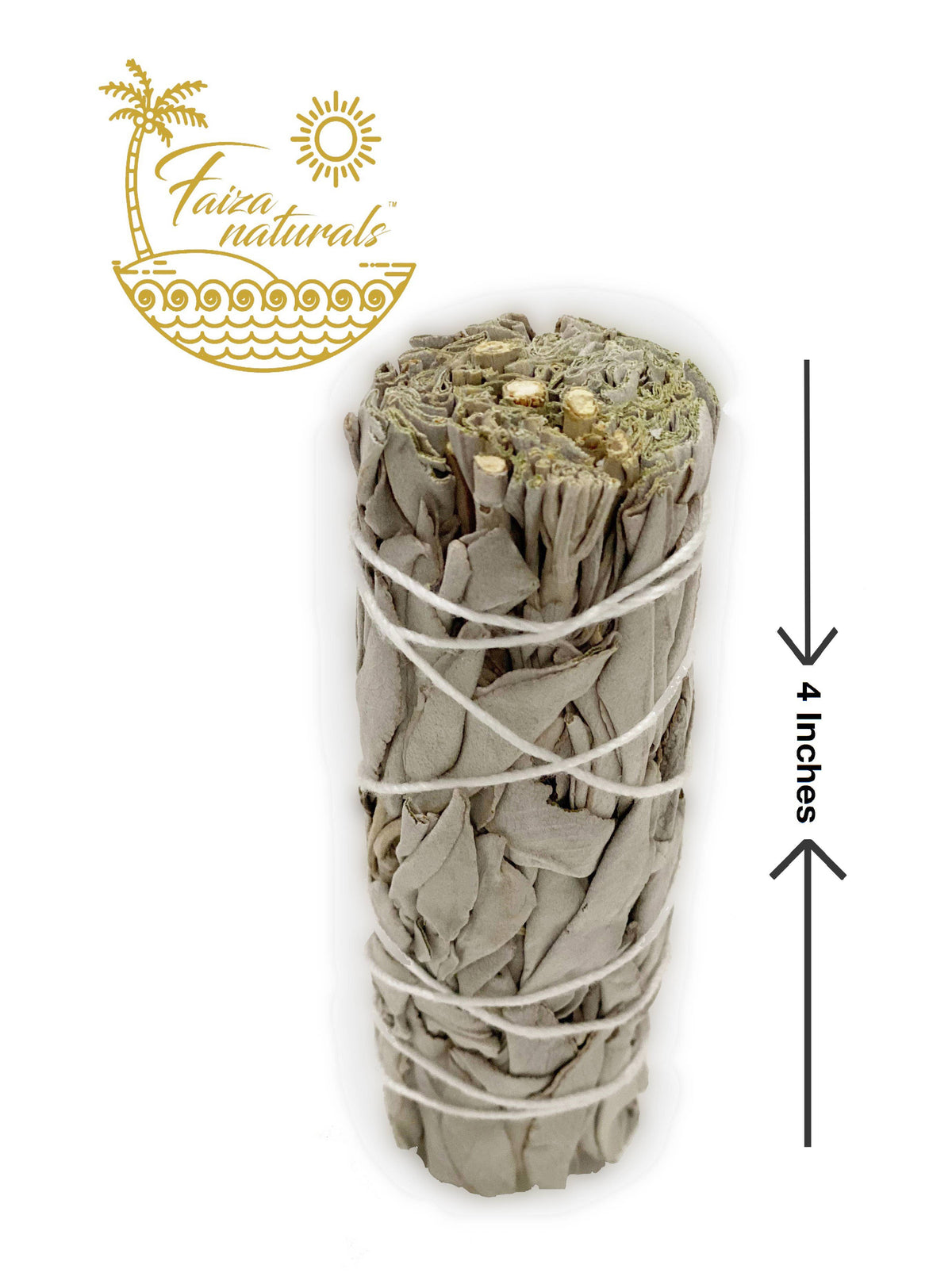 Sage 4 inch- California White Sage Farm
