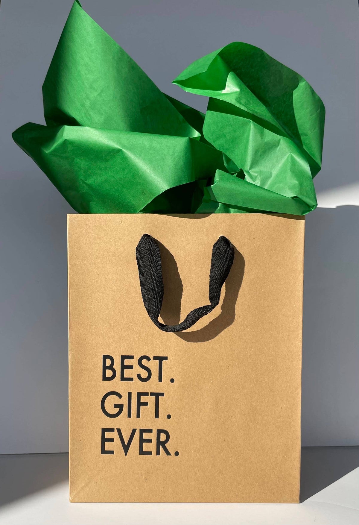 Best Gift Ever - Funny Gift Bag