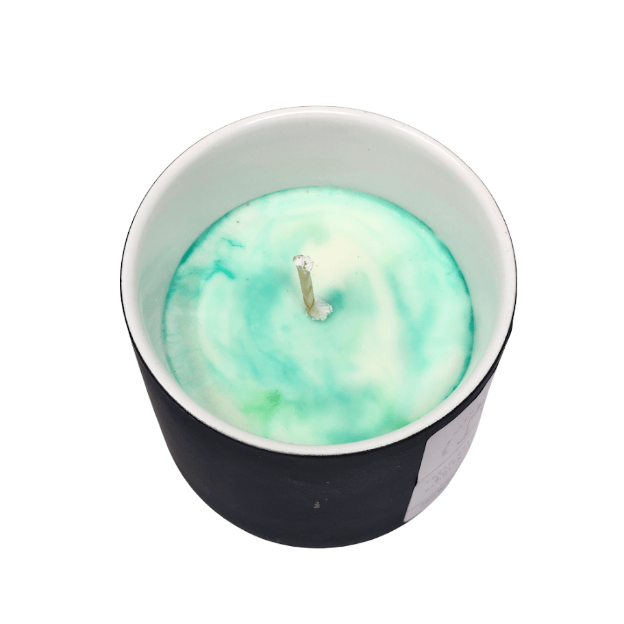 Aloe Grove 8oz - Fresh Start Candles