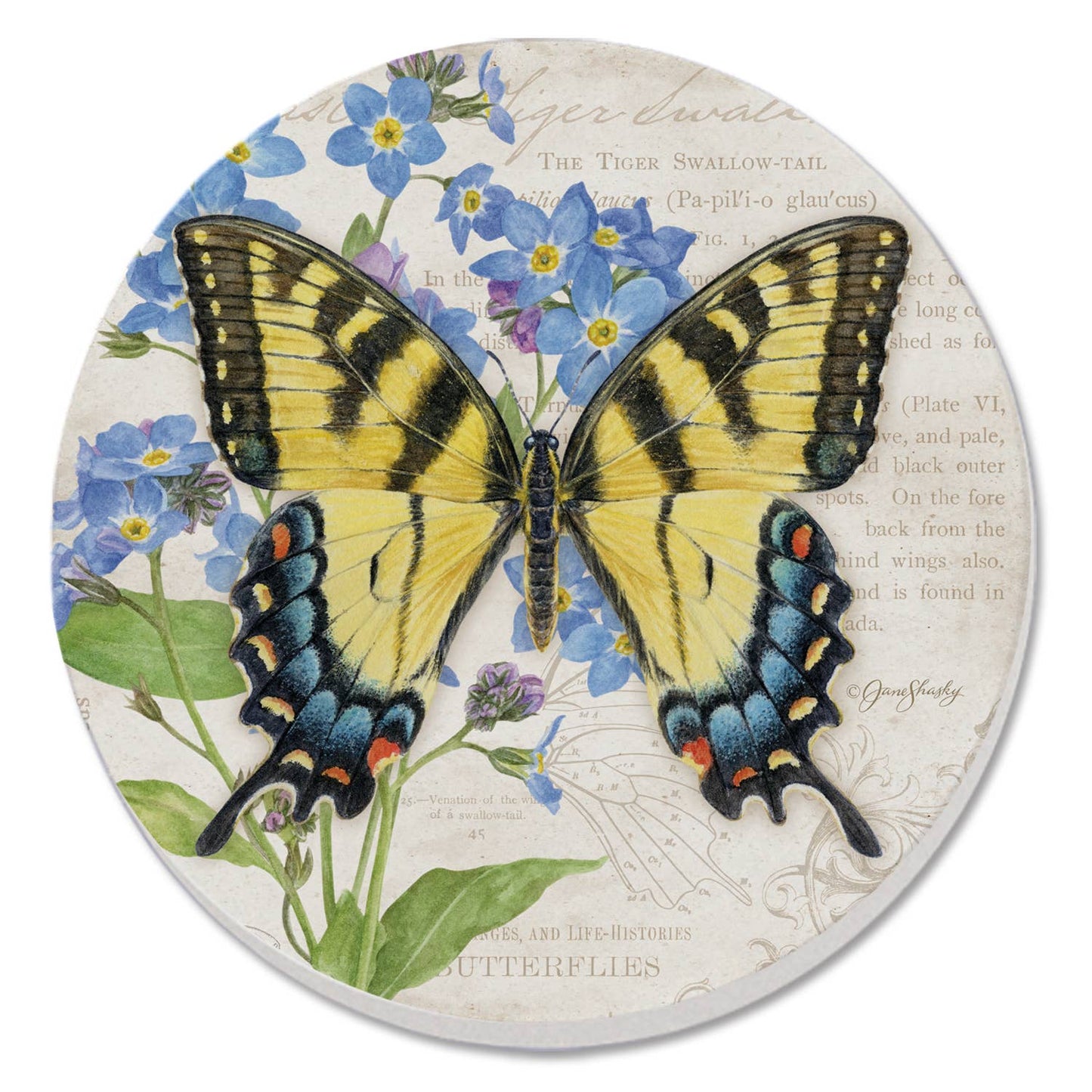 Coaster Cassius Blue Beautiful Butterflies Round Stone - Fresh Start Candles