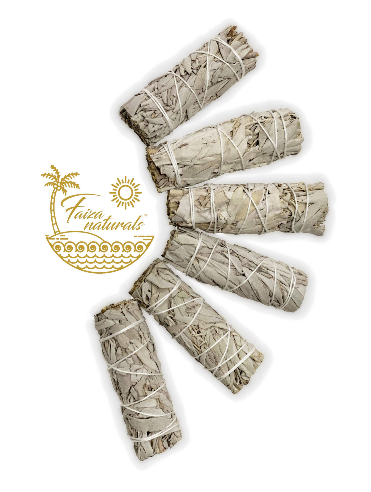 Sage 4 inch- California White Sage Farm