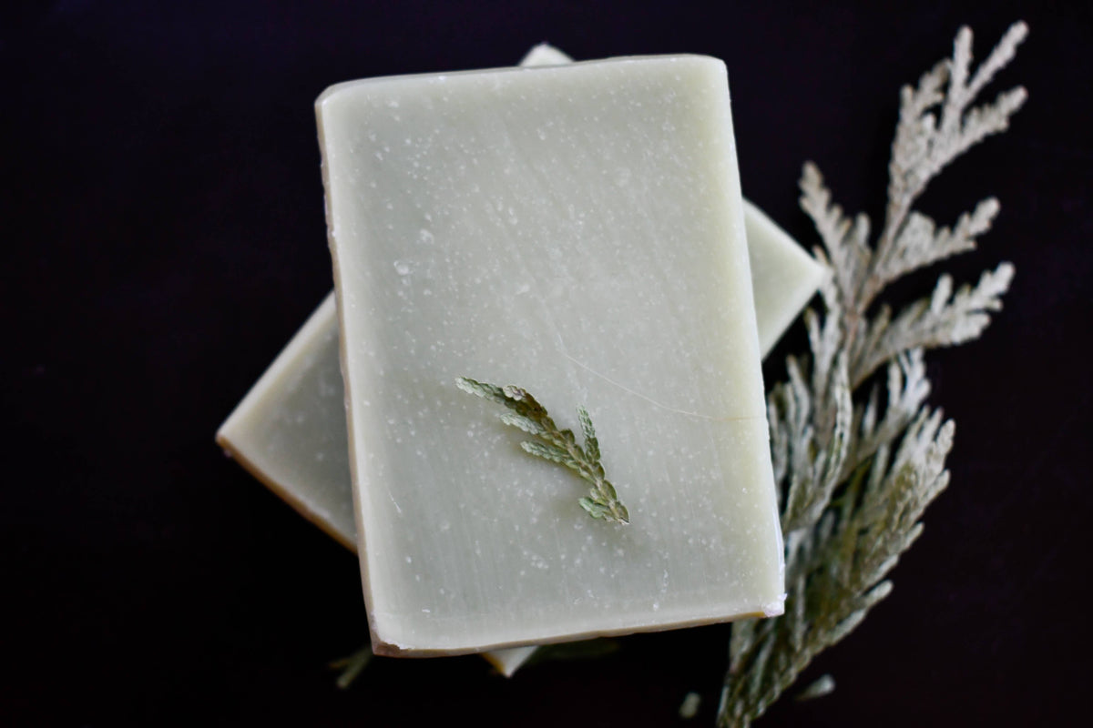 Olive Oil Soap Forest