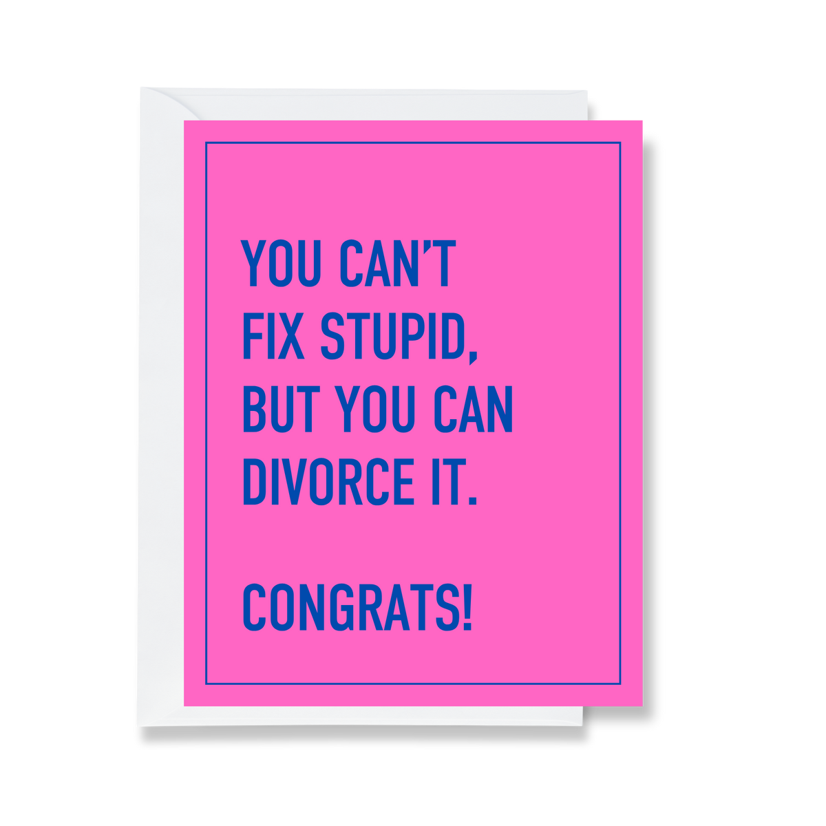 Can't Fix Stupid Divorce Greeting Card