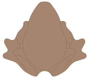 Harry Potter: Chocolate Frog Sticky Notepad - Fresh Start Candles