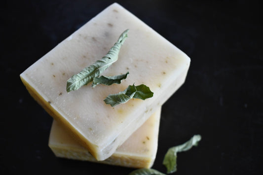 Olive Oil Soap Lemon Verbena - Fresh Start Candles