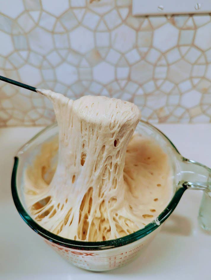 Organic, Non - GMO Sourdough Starter | Freeze Dried | 12gm - Fresh Start Candles