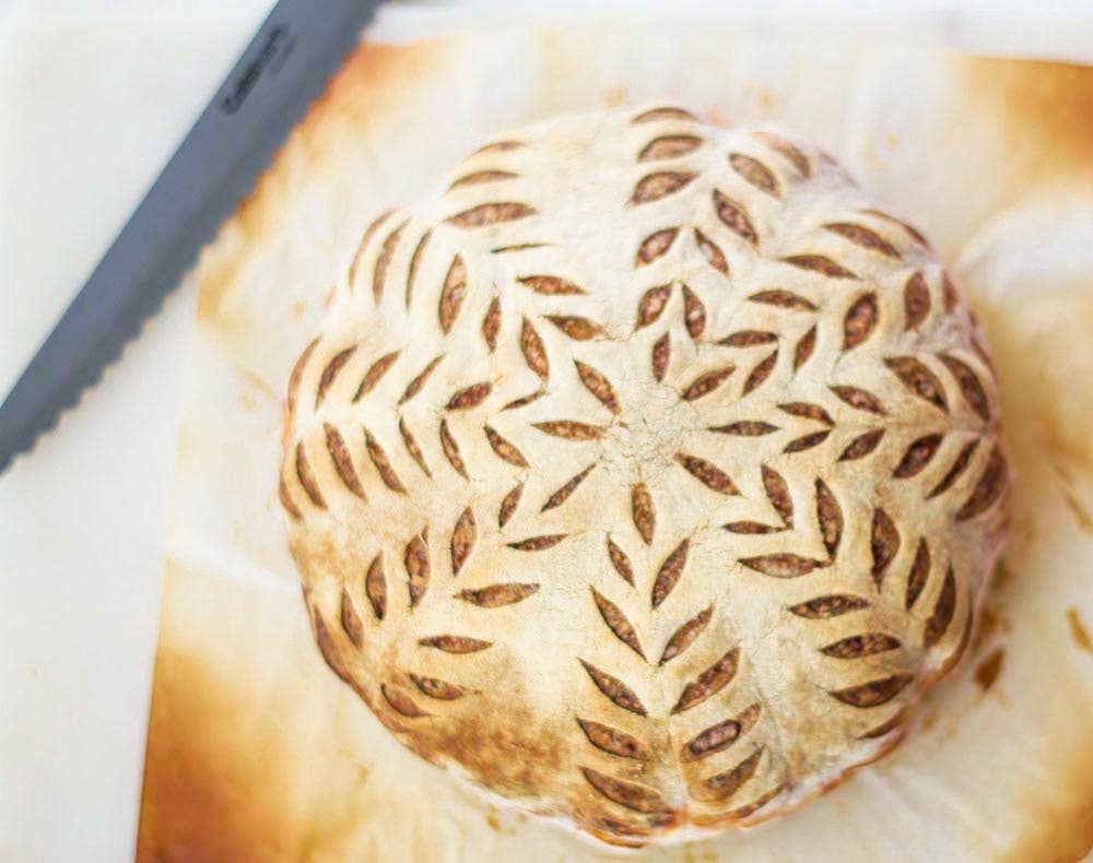 Organic, Non - GMO Sourdough Starter | Freeze Dried | 12gm - Fresh Start Candles