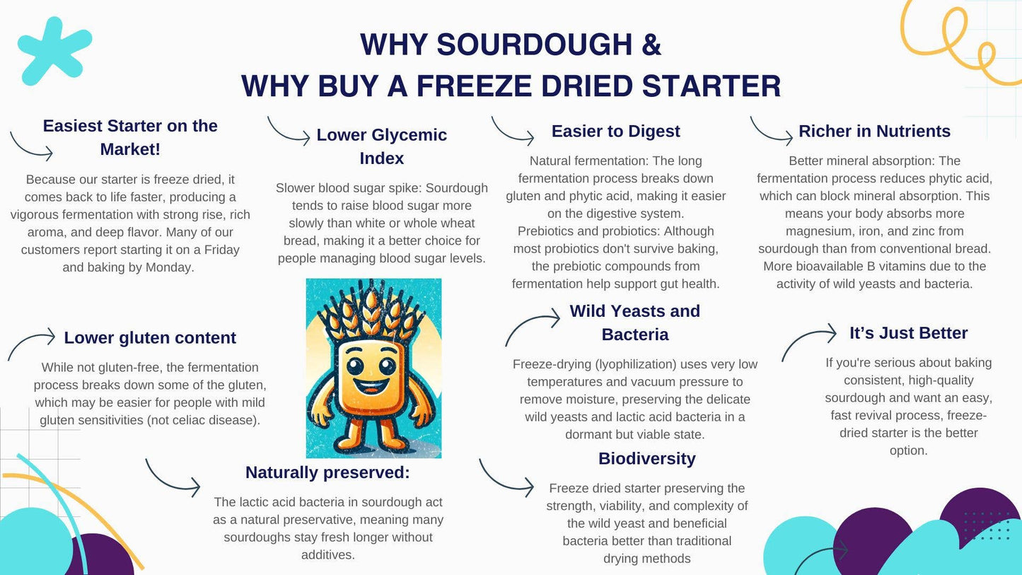 Organic, Non - GMO Sourdough Starter | Freeze Dried | 12gm - Fresh Start Candles