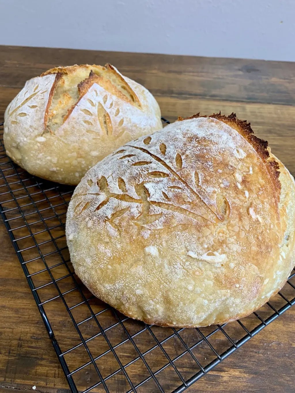 Organic, Non - GMO Sourdough Starter | Freeze Dried | 12gm - Fresh Start Candles